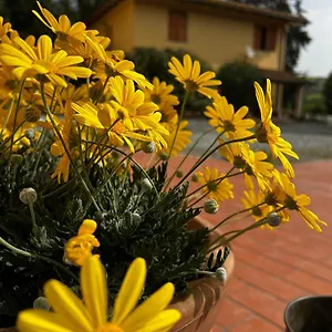 La Cerbana Alloggio per agriturismo